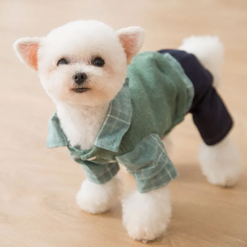 Denim lattice Dog plush Sweater Jumpsuit Cat Puppy Coat Jacket Shirt Pants Autumn/Spring clothes for chihuahua dog cat clothes