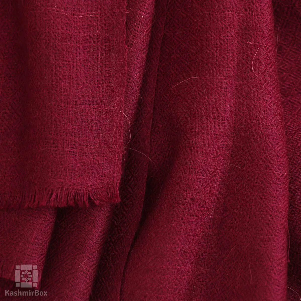 Mulberry Cashmere Pashmina Stole